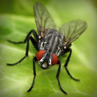/album/geosniporot/photolia-a01-jpg/