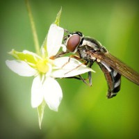 /album/geosniporot/photolia-a02-jpg/