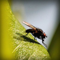/album/geosniporot/photolia-a04-jpg/