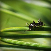 /album/geosniporot/photolia-a05-jpg/