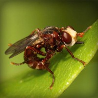 /album/geosniporot/photolia-a06-jpg/