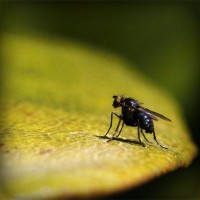 /album/geosniporot/photolia-a07-jpg/