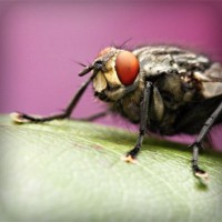 /album/geosniporot/photolia-a08-jpg/